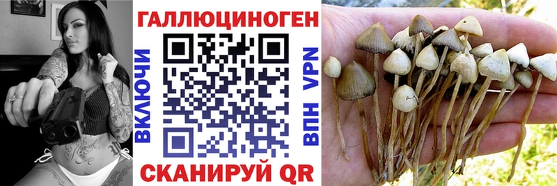 Псилоцибиновые грибы Psilocybe  Купить  Севск 